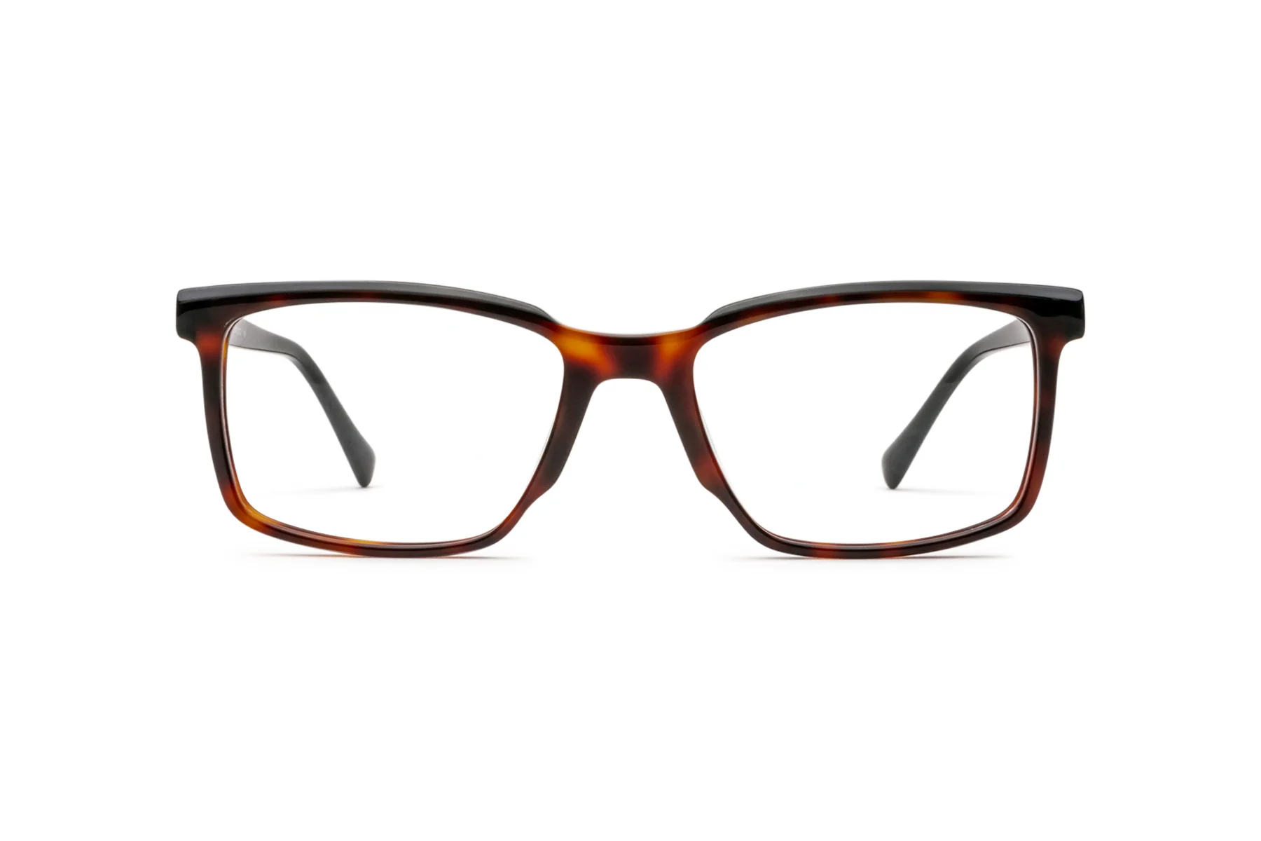 ENZO-3010 - Plano - No treatment